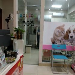 洪星1998寵物店詳細信息 電話、地址、價格、營業時間及圖片