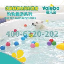 江西上饒家樂寵物用品廠 專注寵物牽引帶與專業(yè)寵物服務(wù)
